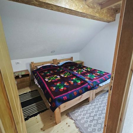 Mini Garden Guest House Мойковац Екстериор снимка