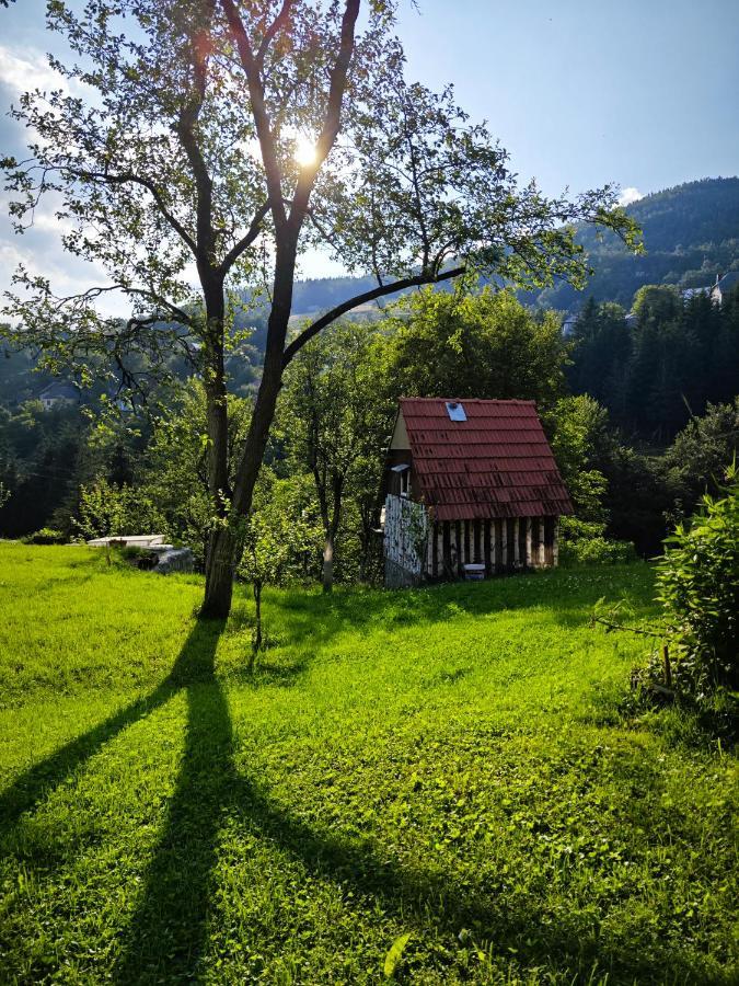Mini Garden Guest House Мойковац Екстериор снимка